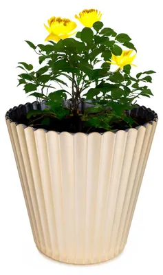 Immagine prodotto di Vaso da fiori scanalato oro champagne come vaso per piante da esterno 25 cm