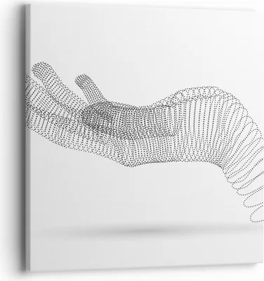 Produktbild von Bild auf Leinwand - Leinwandbild - Einteilig - Hand Grafik weiß - 40x40cm - Wand Bild - Wanddeko - Wandbilder - Leinwanddruck - Bilder - Wanddekoration - Leinwand bilder - Wandbild - AC40x40-4427