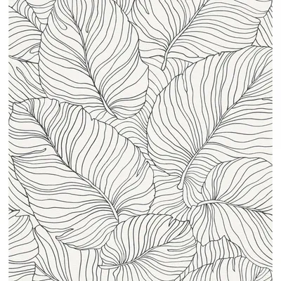 Produktbild von Grandeco - Strukturtapete "Isa", Bananenblatt AG2420 (10,5 m x 53 cm) (Schwarz/Weiß)