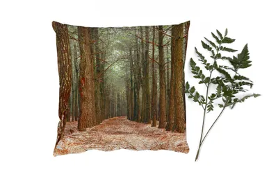 Produktbild von MuchoWow® Zierkissen Sofakissen Wohnzimmer Dekokissen 40x40 cm Herbst - Dekoration - Wald - Foto Kissen - Schlafzimmer Dekoration