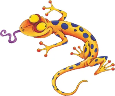 Produktbild von Hermann Schütz Aufkleber Gecko bunt 120x100mm