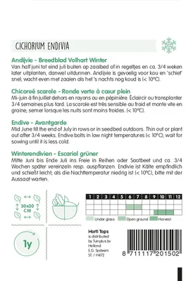 Produktbild von Winterendivien Escariol Grüner | Endiviensalatsamen von Hortitops
