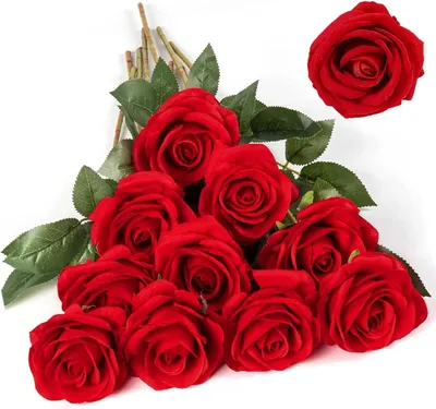 Produktbild von Künstliche Rosen 15 Stück, für Hochzeitsdekoration, 2.8 x 20 cm, rot, für Party