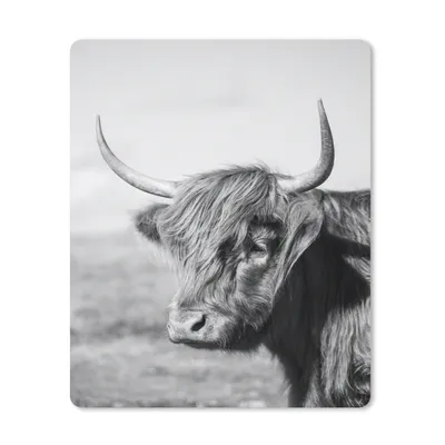 Produktbild von MuchoWow® Mauspad Mousepad Schottischer Highlander - Tiere - Schwarz - Weiß 19x23 cm - Mousepads - Maus Mat - Pad - Mausunterlage - Mauspads - Spielen