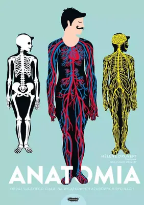 Produktbild von Anatomia Obraz ludzkiego ciala na wyjatkowych azurowych rycinach