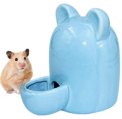 Image de Distributeur automatique d'eau pour petits animaux - Bouteille en céramique de 250 ml