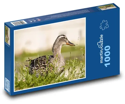 Obrázok produktu pre Puzzle 1000 Kačka v zelenej tráve - martinpuzzle