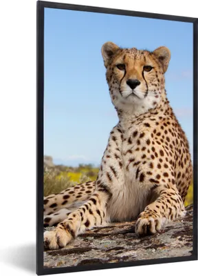 Produktbild von MuchoWow® Gerahmtes Poster Leopard - Tiere - Natur 60x90 cm - Poster mit Schwarzem Bilderrahmen Wandposter Rahmen Foto Bilder - Kunst