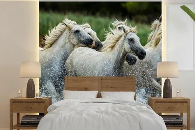 Produktbild von Fotobanner - Pferde - Wasser - Natur - Breite 220 cm x Höhe 220 cm
