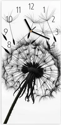 Produktbild von Wanduhr aus Glas mit Motiv Pusteblumen- 30 x 60 cm - inkl. Aufhängesystem