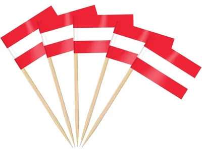 Productafbeelding van Tandenstokers met Oostenrijkse vlag, 100 stuks | 3,5 x 2,5 cm | Hout