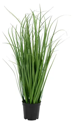 Zdjęcie produktu dla SZTUCZNA TRAWA w czarnej donicy 68 cm realistyczne źdźbła