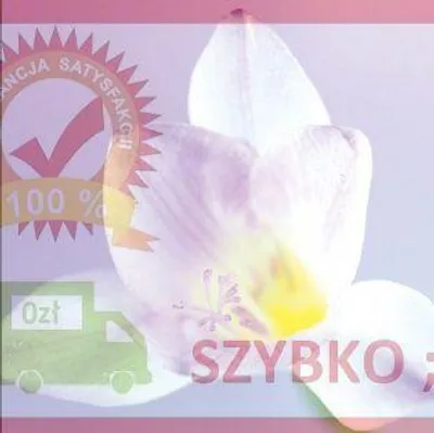 Produktbild von Notizblock 16 x 16 cm + Umschlag „Weiße Blume“ – DaVinci