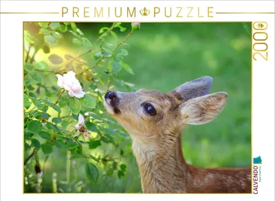 Produktbild von CALVENDO Puzzle Rehkitz mit Rose 2000 Teile Puzzle quer | 2000 Teile Lege-Größe 90x67cm Foto-Puzzle für glückliche Stunden