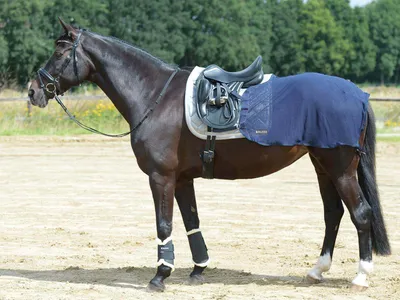 Obrázek produktu pro BUSSE Tréninkový koberec Fly Fly Rug Navy 135