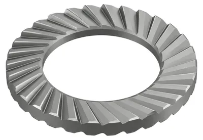 Image de Rondelles Schnorr 1.4301 S 20 A 2 S 250 pces