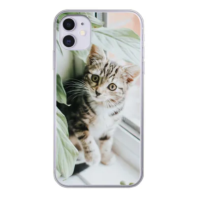 Produktbild von MuchoWow® Handyhülle Schutzhülle Hülle für iPhone 11 Katze - Kätzchen - Pflanzen Silikon Softcase Handy Hülle - Handytasche