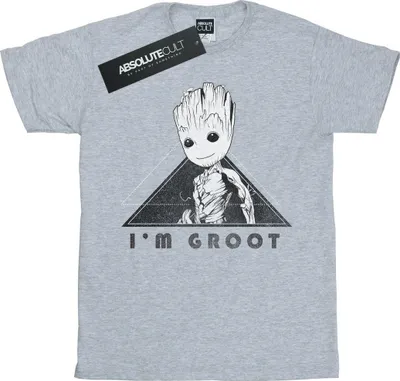 Produktbild von Marvel - "Guardians Of The Galaxy Vol. 2" T-Shirt für Herren BI28477 (M) (Grau)