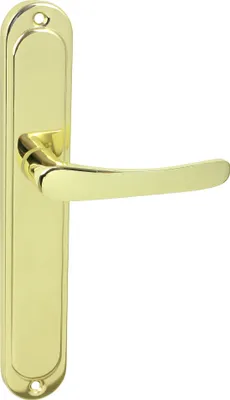 A gold-colored door handle with a long plate, shown against a white background.