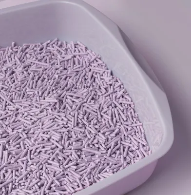Image de Litière agglomérante à base de tofu pour chats, parfum lavande, biodégradable, pour litière de chat, 5,5 litres