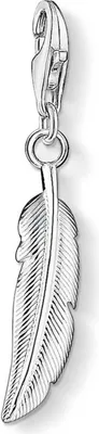 Produktbild von Thomas Sabo PENDANT FEATHER 0582-001-12 Anhänger