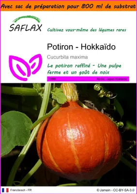 Image de SAFLAX Garden in the bag - Potiron - Hokkaïdo - 10 graines - Cucurbita