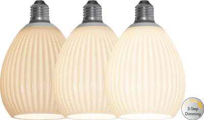 Produktbild von Star Trading 354-06, 3,5 W, E27, 210 lm, 15000 h, Weiß
