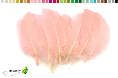 Produktbild von 10 Gänsefedern 15-20cm, Farbauswahl:rose 123 / zartrosa / hellrosa
