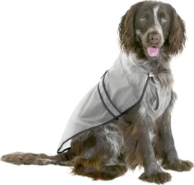 Image de Imperméable PVC pour chiens 55cm KAR