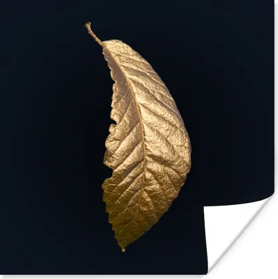 Produktbild von MuchoWow® Poster Blätter - Luxus - Gold - Schwarz - Natur 75x75 cm - Wand Dekoration