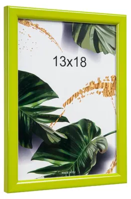 Obrázek produktu pro Ertom Rámeček na fotografie 13x18 cm zelený