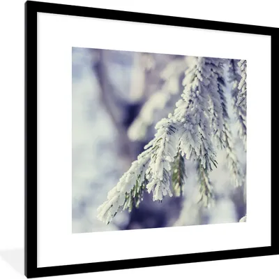 Produktbild von MuchoWow® Gerahmtes Poster Winter - Tannenbaum - Schnee - Ländlich 40x40 cm - Poster mit Schwarzem Bilderrahmen Wandposter Rahmen Foto Bilder - Poster - Plakat im Rahmen