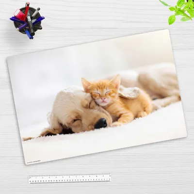 Produktbild von Schreibtischunterlage für Kinder und Erwachsene – “Freundschaft zwischen Katze und Hund“ – aus erstklassigem strapazierfähigem Vinyl – 60 x 40 cm – Germany