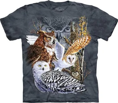 Produktbild von The Mountain T-Shirt - Find 11 Owls KIDS L