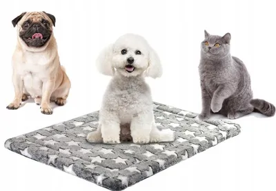 Produktbild von Superkissen24 Hundematte Haustiermatte 60x40 cm Sterne