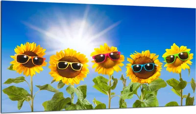 Produktbild von Herdabdeckplatte Glaskeramikkochfeld-Abdeckung Spritzschutz Glas 90x52 Blumen