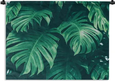 Produktbild von MuchoWow® Wandteppich Wandbehang Monstera - Blätter - Pflanzen - Dschungel - Natur 150x112.50 cm Tapisserie Dekoration Wandtuch - Wanddecke - Wandteppiche