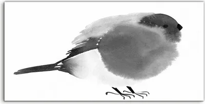 Produktbild von Coloray Acrylbild 120x60  Wandbild Acrylbilder Deko Malerei Vogel Kunstwerk natürlich