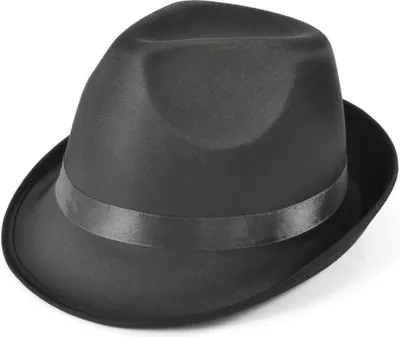 Image de Fedora - Une seule taille
