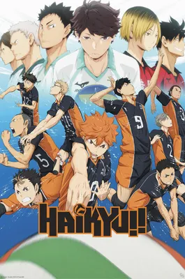 Obrázek produktu pro Haikyu!! Plakát: (91,5 x 61 cm)
