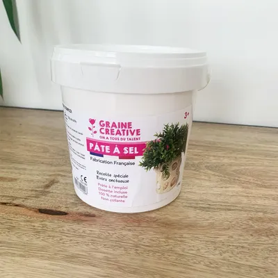 Image de Pâte à sel 1 kg