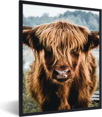 Produktbild von MuchoWow® Gerahmtes Poster Kühe - Schottische Hochlandbewohner - Braun - Natur 30x40 cm - Poster mit Schwarzem Bilderrahmen Wandposter Rahmen Foto Bilder - Wanddeko - Kunstdrucke