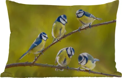 Produktbild von MuchoWow® Outdoor Kissen - Vogel - Blaumeise - Äste - Sonne - 60x40 cm - Wetterfest - Lounge Kissen - Zierkissen - Kissen für Innenräume