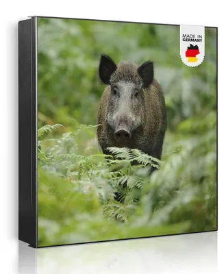 Zdjęcie produktu dla banjado metalowa szafka na klucze, duża 30x30 cm z 32 haczykami, może służyć jako tablica magnetyczna, czarny korpus, zawias po lewej stronie, Wildschwein [SKG2 10495]