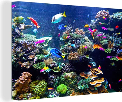 Obrázek produktu pro OneMillionCanvasses® - Plátno - Korál - Ryby - Akvárium, nástěnná malba, nástěnné dekorace obrázky do obývacího pokoje, 90x60cm