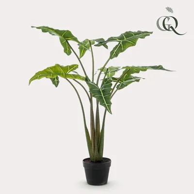 Image de Green boutiQ - Plante artificielle - Alocasia Frydek - Olifantsoor - 120 cm - Vert - Sans entretien - Haute qualité