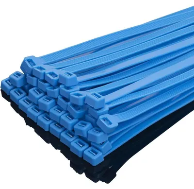 Immagine prodotto di Fascette stringicavo resistenti, 100 pezzi, 250 x 7,6 mm, colore blu, nylon, resistenza alla trazione: 50 kg