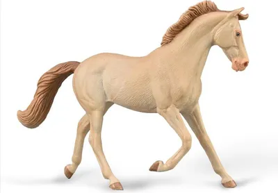 Immagine prodotto di COLLECTA Cavalla purosangue - 1:20