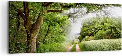 Produktbild von Bild auf Leinwand - Leinwandbild - Pfad Natur Wald Grün - 120x50cm - Wand Bild - Wanddeko - Leinwanddruck - Bilder - Kunstdruck - Wanddekoration - Leinwand bilder - Wandkunst - AB120x50-2637