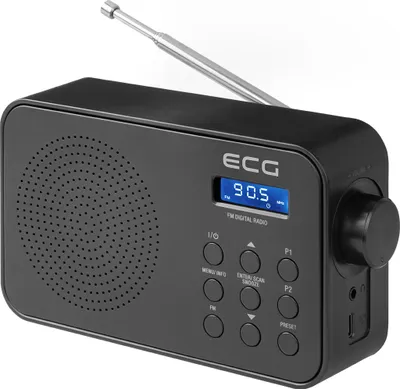 A black ECG radio with an extended antenna is shown against a white background.